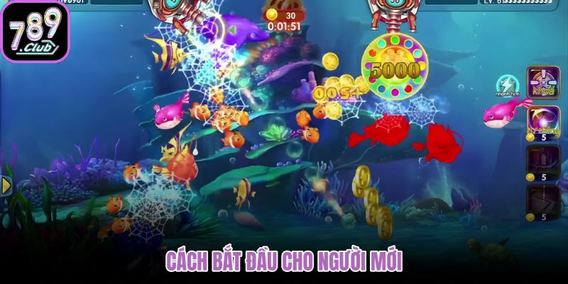 cach-bat-dau-cho-nguoi-moi
