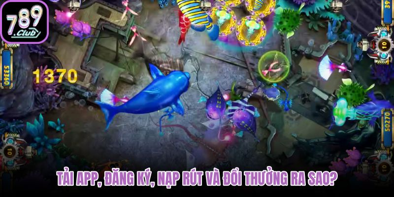 tai-app-dang-ky-nap-rut-va-doi-thuong-ra-sao